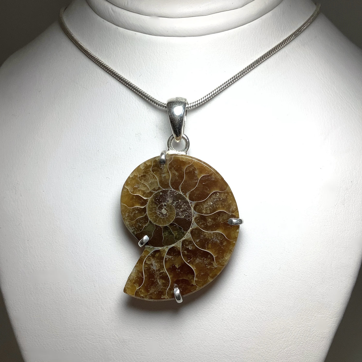Chambered Ammonite Pendant