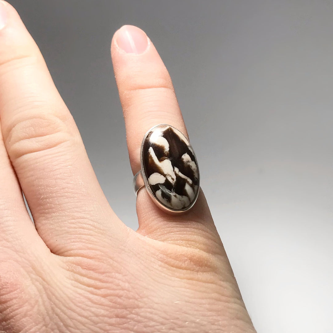 Petrified Peanut Wood Ring - Rocks and Gems Canada