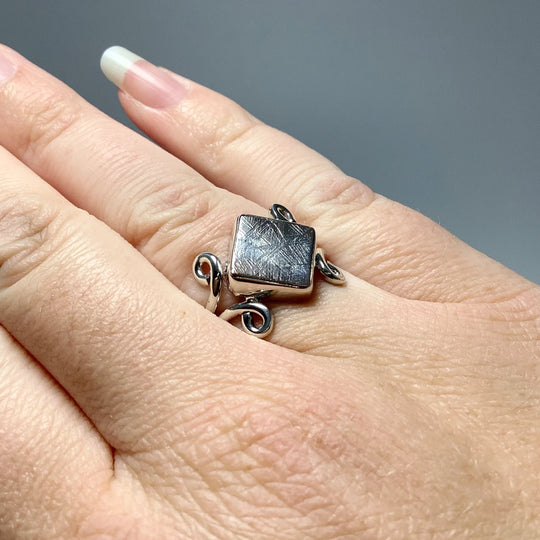 Muonionalusta Meteorite Ring - Rocks and Gems Canada