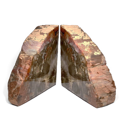 Araucaria Petrified Wood Bookends