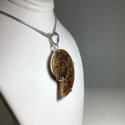 Chambered Ammonite Pendant