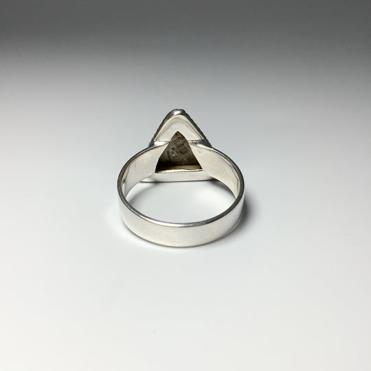 Muonionalusta Meteorite Triangle Setting Ring - Rocks and Gems Canada