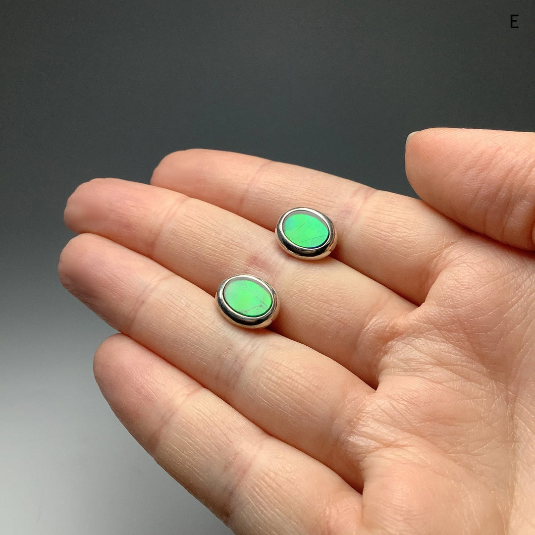 Alberta Ammolite Stud Earrings - Rocks and Gems Canada