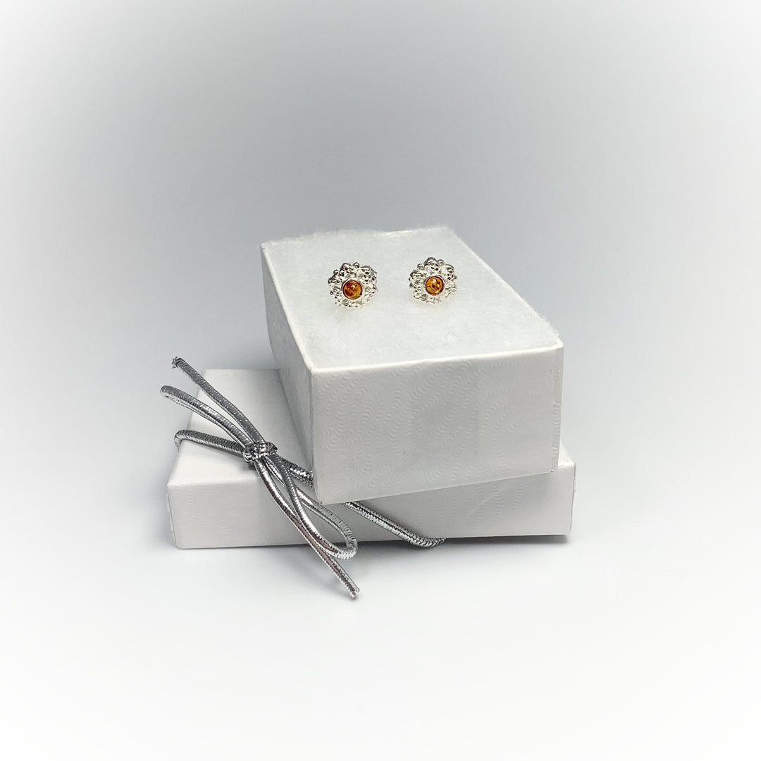 Cognac Amber Stud Earrings - Rocks and Gems Canada
