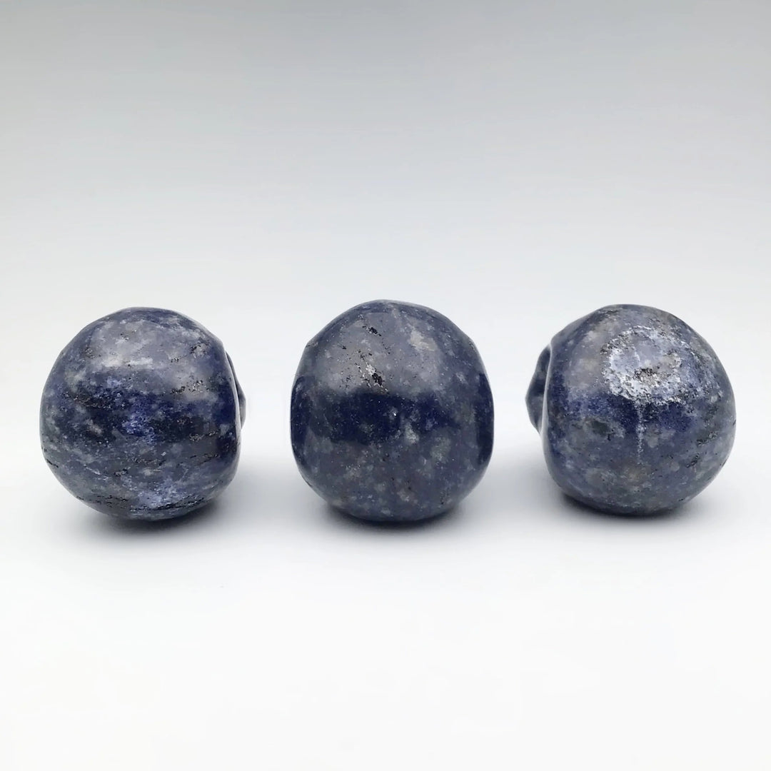 Carved Sodalite Skull - Rocks and Gems Canada