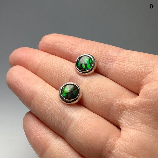 Alberta Ammolite Stud Earrings - Rocks and Gems Canada