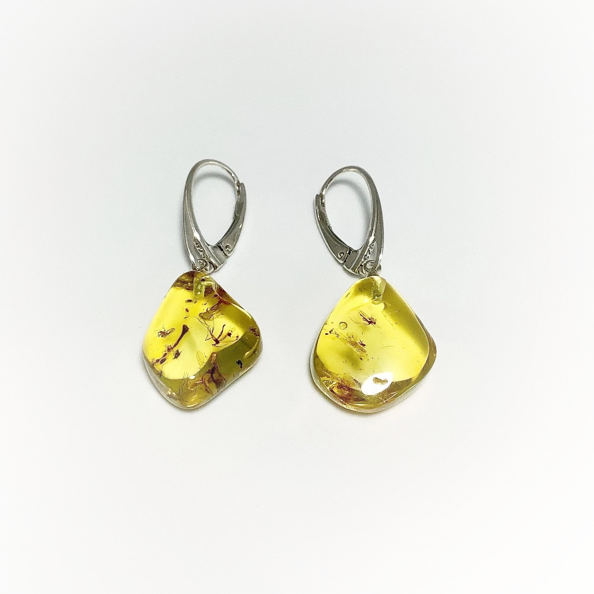 Amber with Preserved Insect Inclusion Dangle Earrings - Rocks and Gems Canada