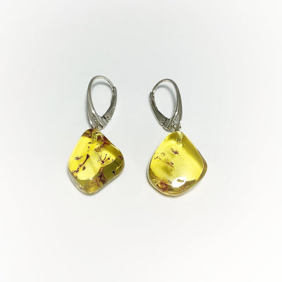 Amber with Preserved Insect Inclusion Dangle Earrings