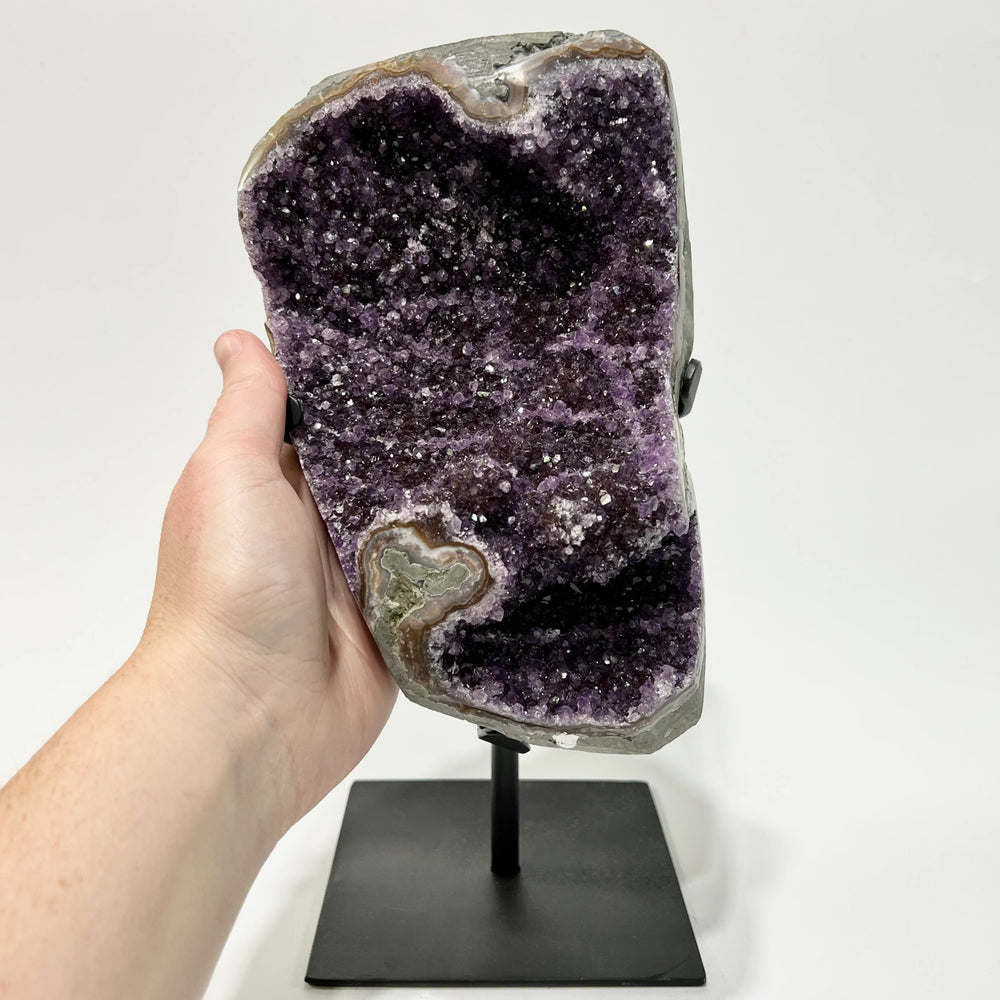 Large Amethyst Druze Cluster on Display Stand - Rocks and Gems Canada