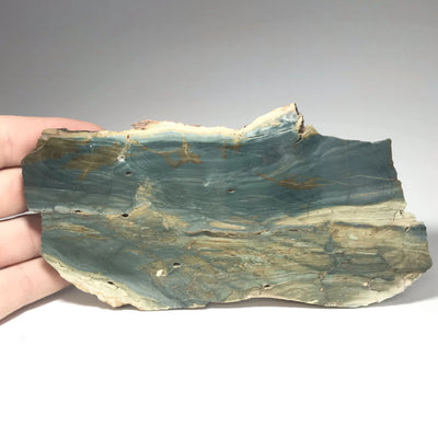 Gary Green Jasper Slab