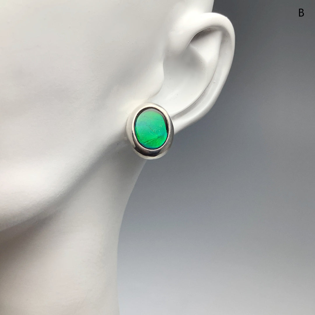 Alberta Ammolite Stud Earrings - Rocks and Gems Canada