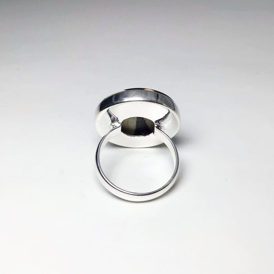 Petrified Peanut Wood Ring - Rocks and Gems Canada