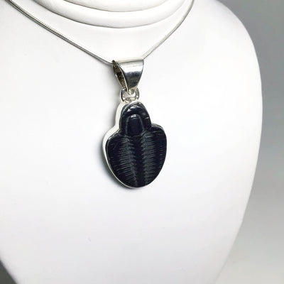 Trilobite Elrathia Kingii Fossil Pendant