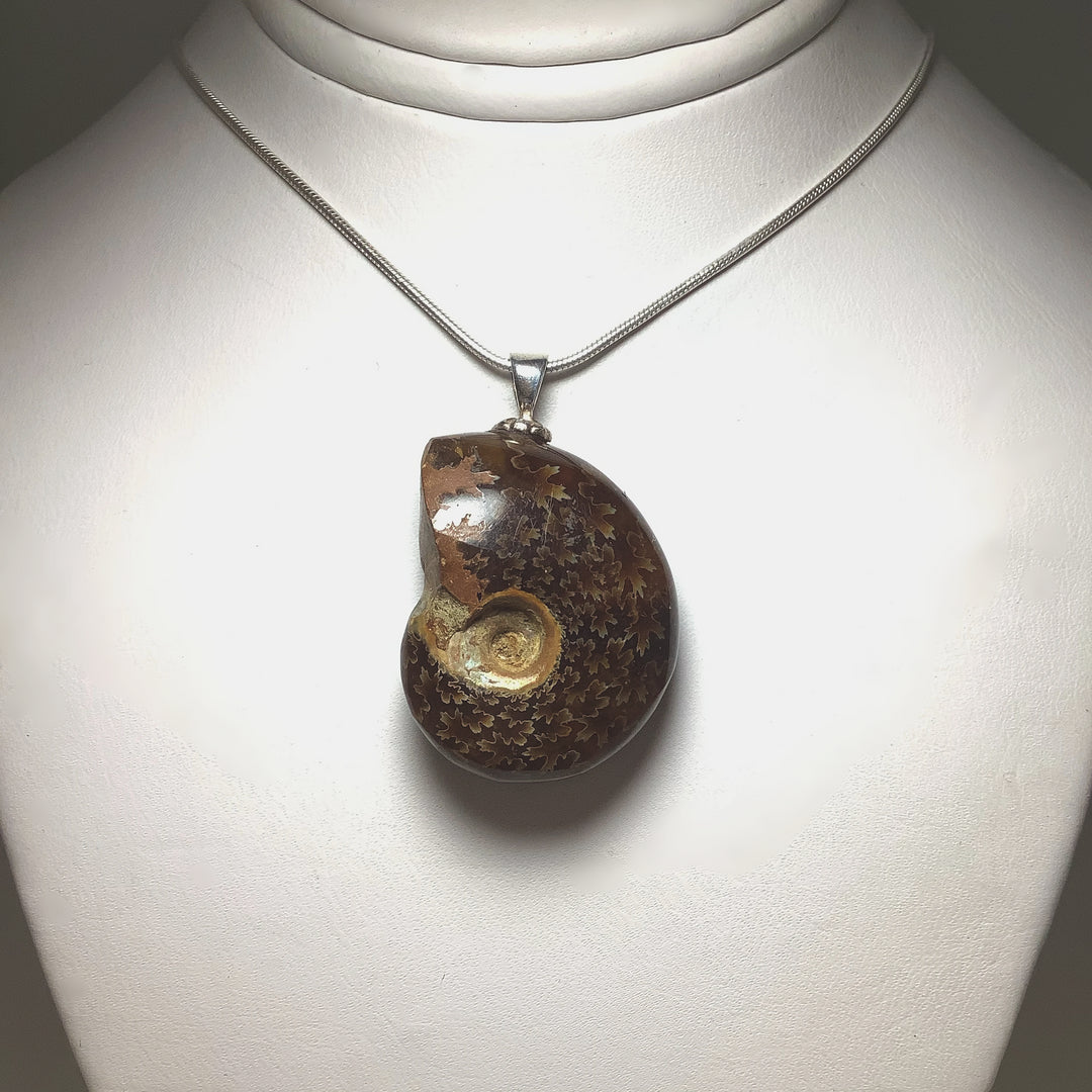 Golden Ammonite Pendant - Rocks and Gems Canada