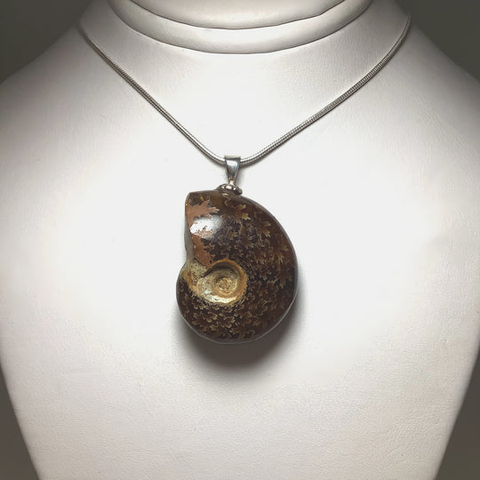 Golden Ammonite Pendant - Rocks and Gems Canada