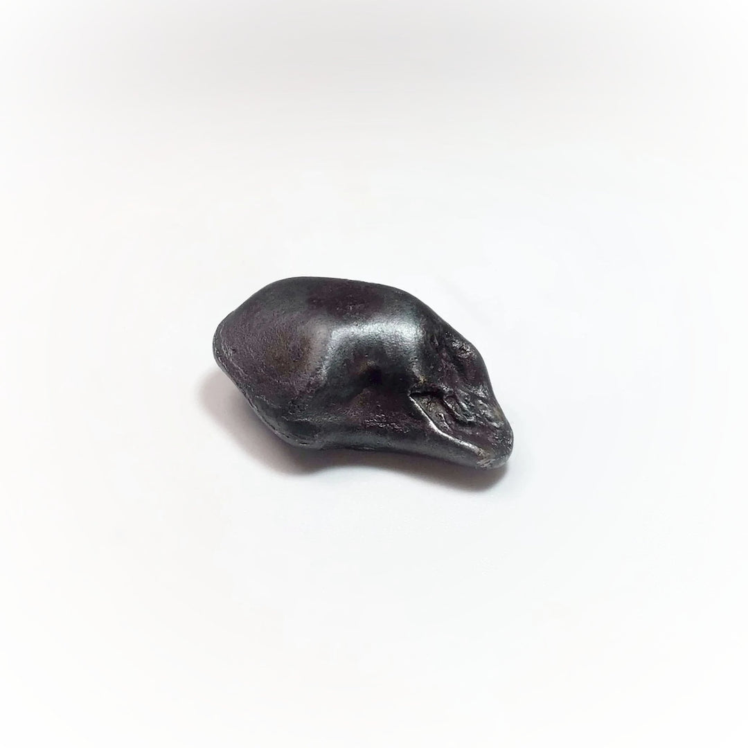 Sikhote-Alin Meteorite - Rocks and Gems Canada
