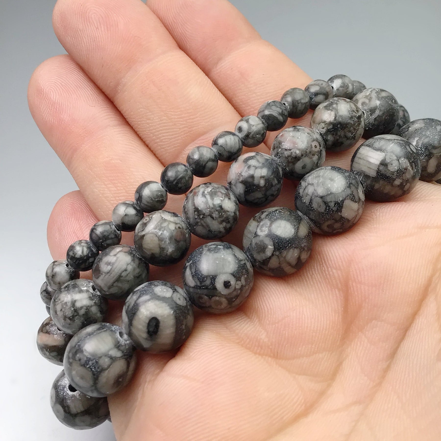 Fossil Stone Jasper Beaded Bracelet 10mm