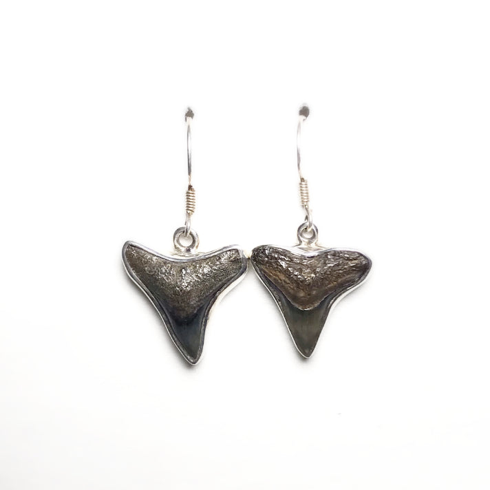 Fossilized Shark Teeth Dangle Earrings - Rocks and Gems Canada