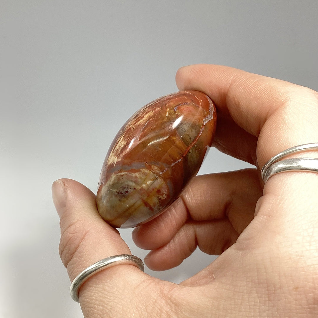 Petrified Wood Tumble - Rocks and Gems Canada