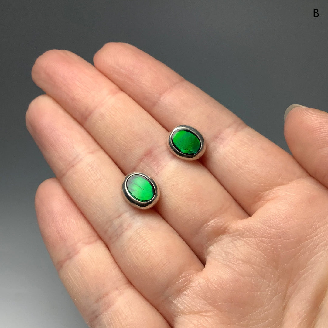 Alberta Ammolite Stud Earrings - Rocks and Gems Canada