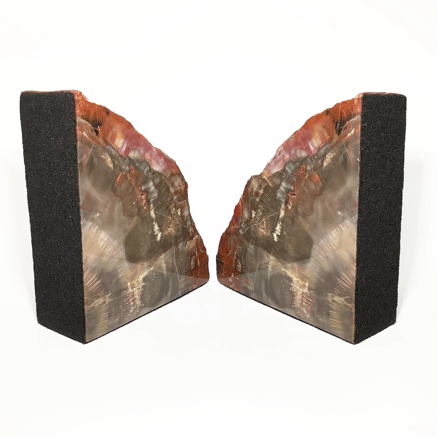 Araucaria Petrified Wood Bookends