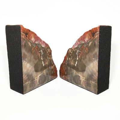 Araucaria Petrified Wood Bookends