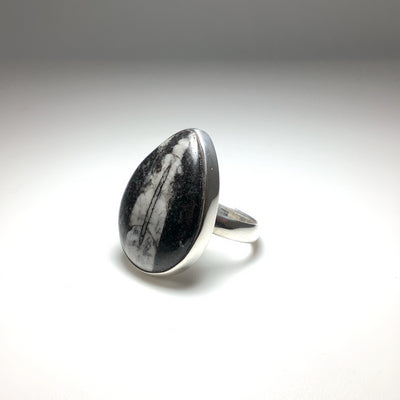 Orthoceras Ring