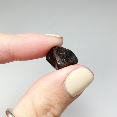 Sikhote-Alin Meteorite