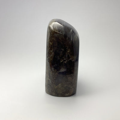 Labradorite Stand Up