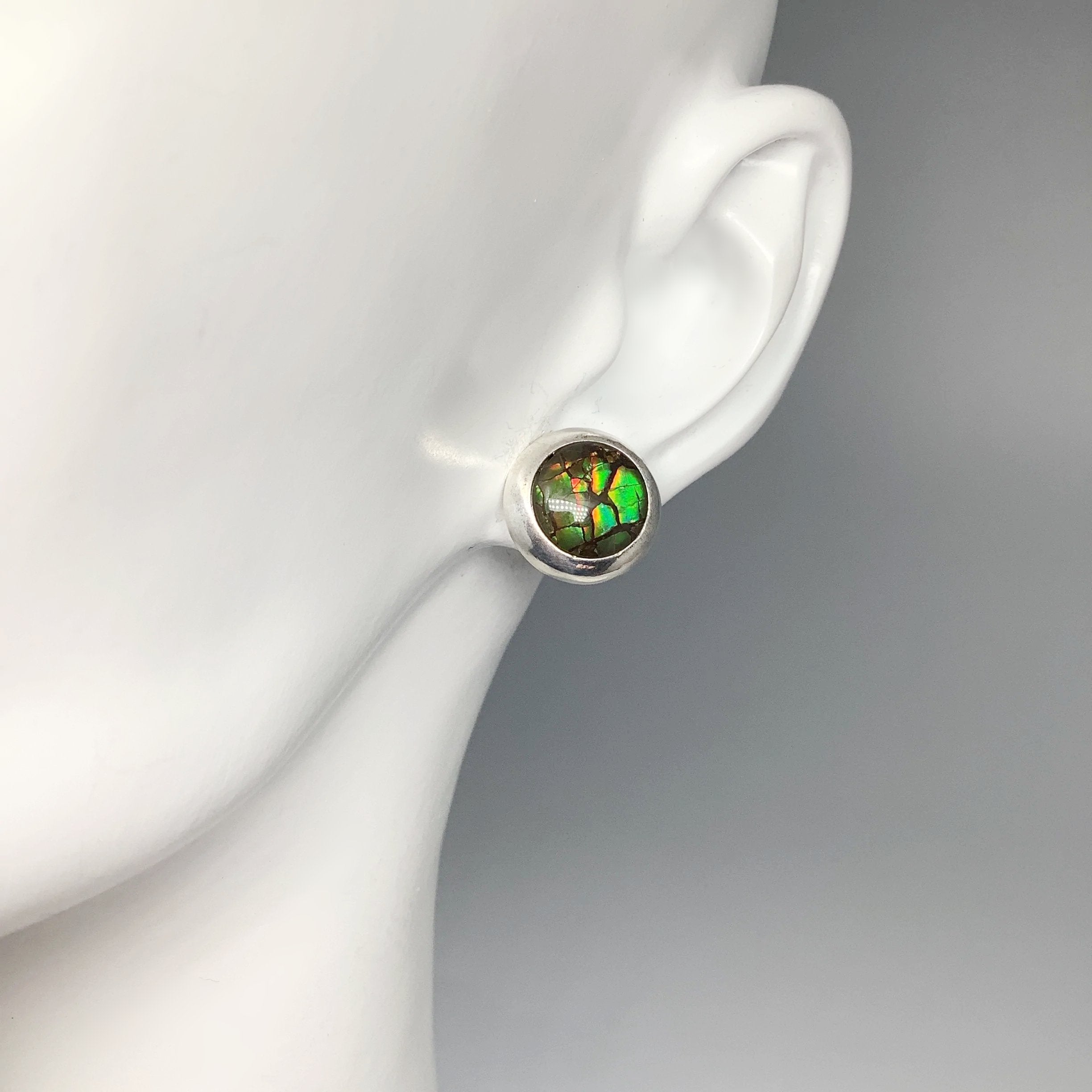 Alberta Ammolite Stud Earrings - Rocks and Gems Canada