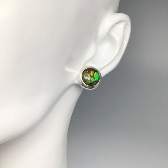 Alberta Ammolite Stud Earrings - Rocks and Gems Canada
