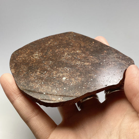 NWA Chondrite Meteorite Slab - Rocks and Gems Canada