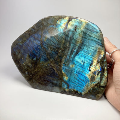 Labradorite Large Stand Up