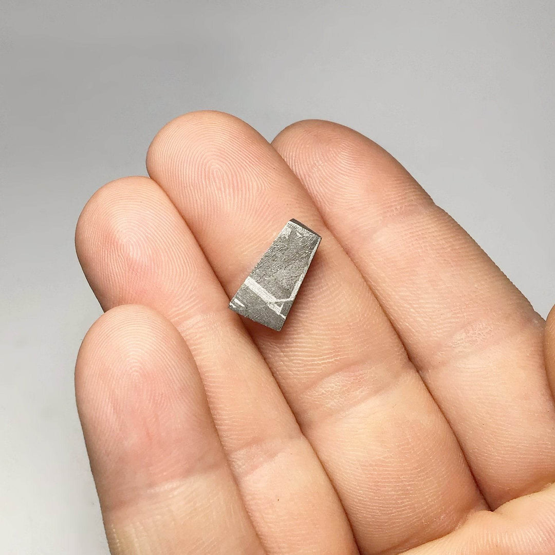 Gibeon Meteorite Specimen - Rocks and Gems Canada