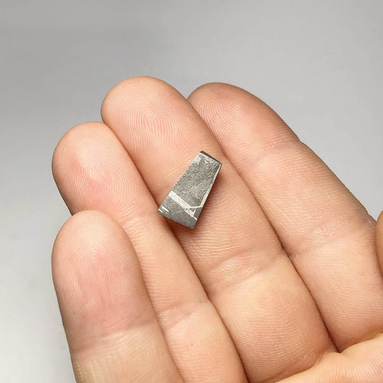 Gibeon Meteorite Specimen - Rocks and Gems Canada