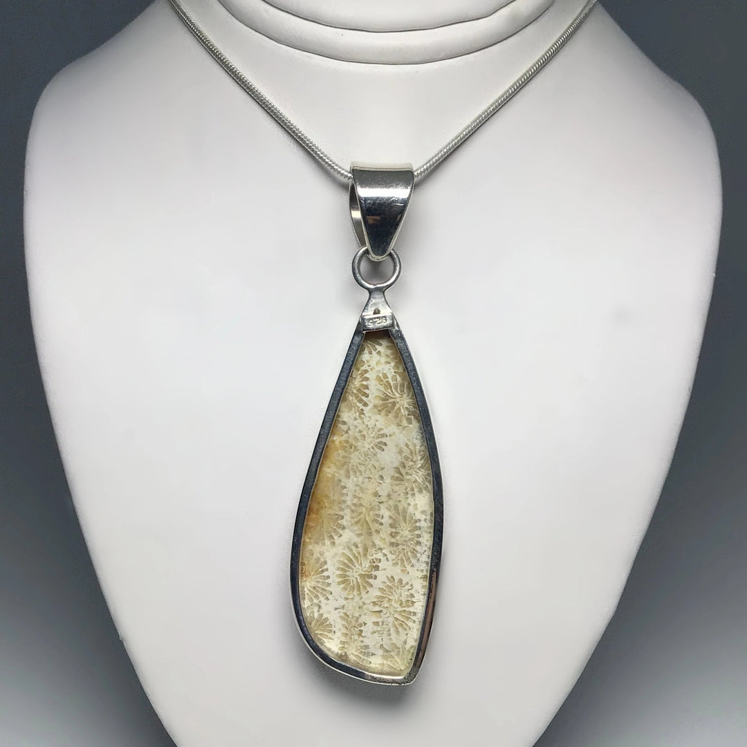 Fossilized Coral Pendant - Rocks and Gems Canada