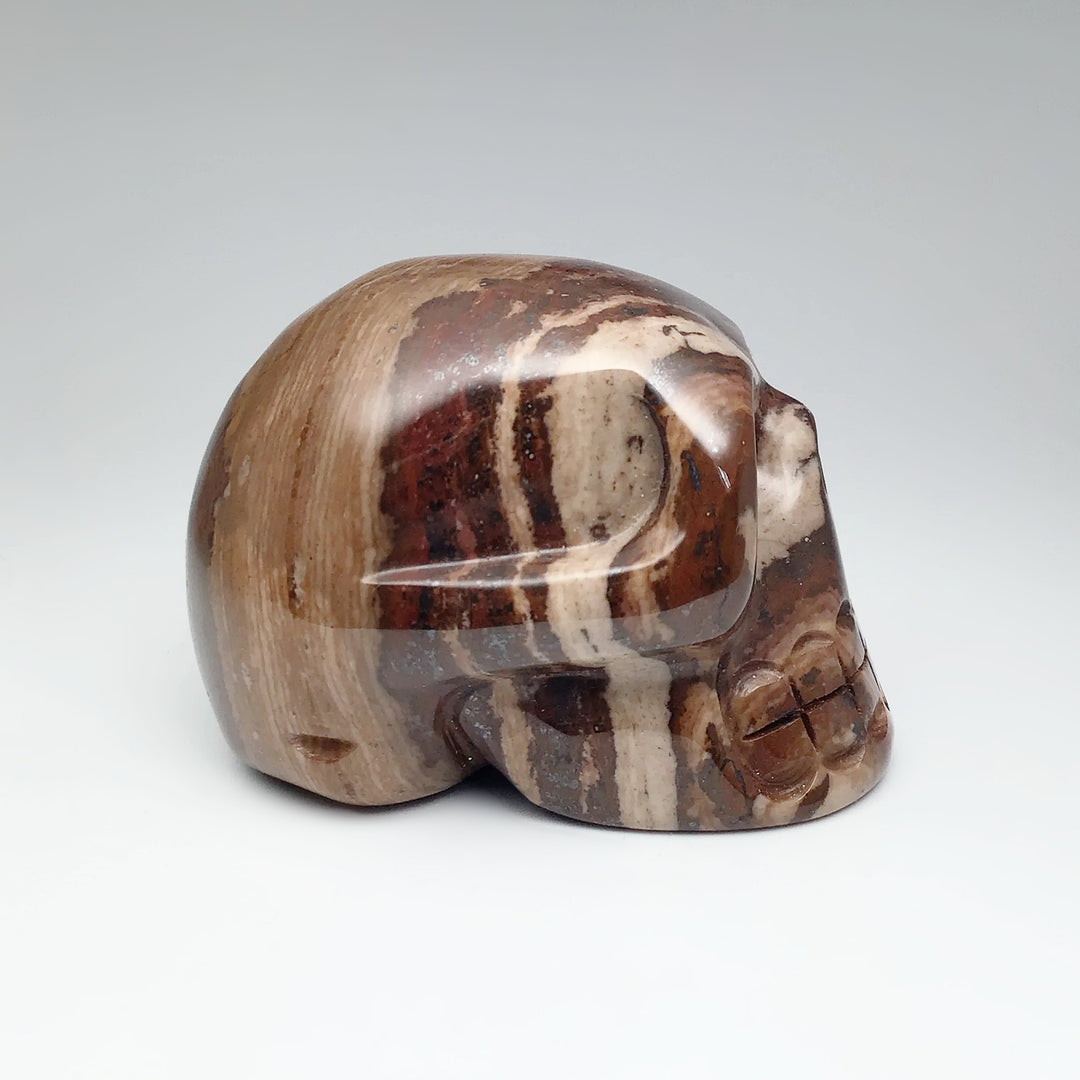 Carved Chocolate Jasper Skull - Rocks and Gems Canada