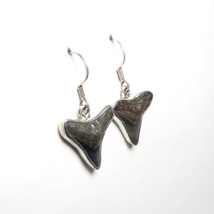 Fossilized Shark Teeth Dangle Earrings - Rocks and Gems Canada