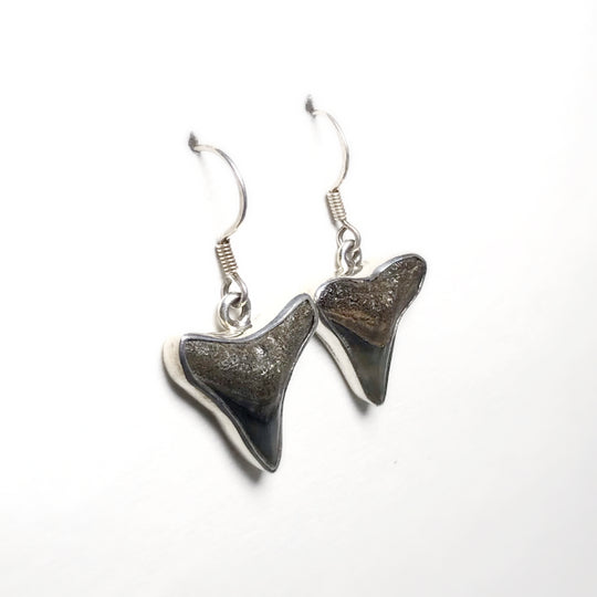 Fossilized Shark Teeth Dangle Earrings - Rocks and Gems Canada