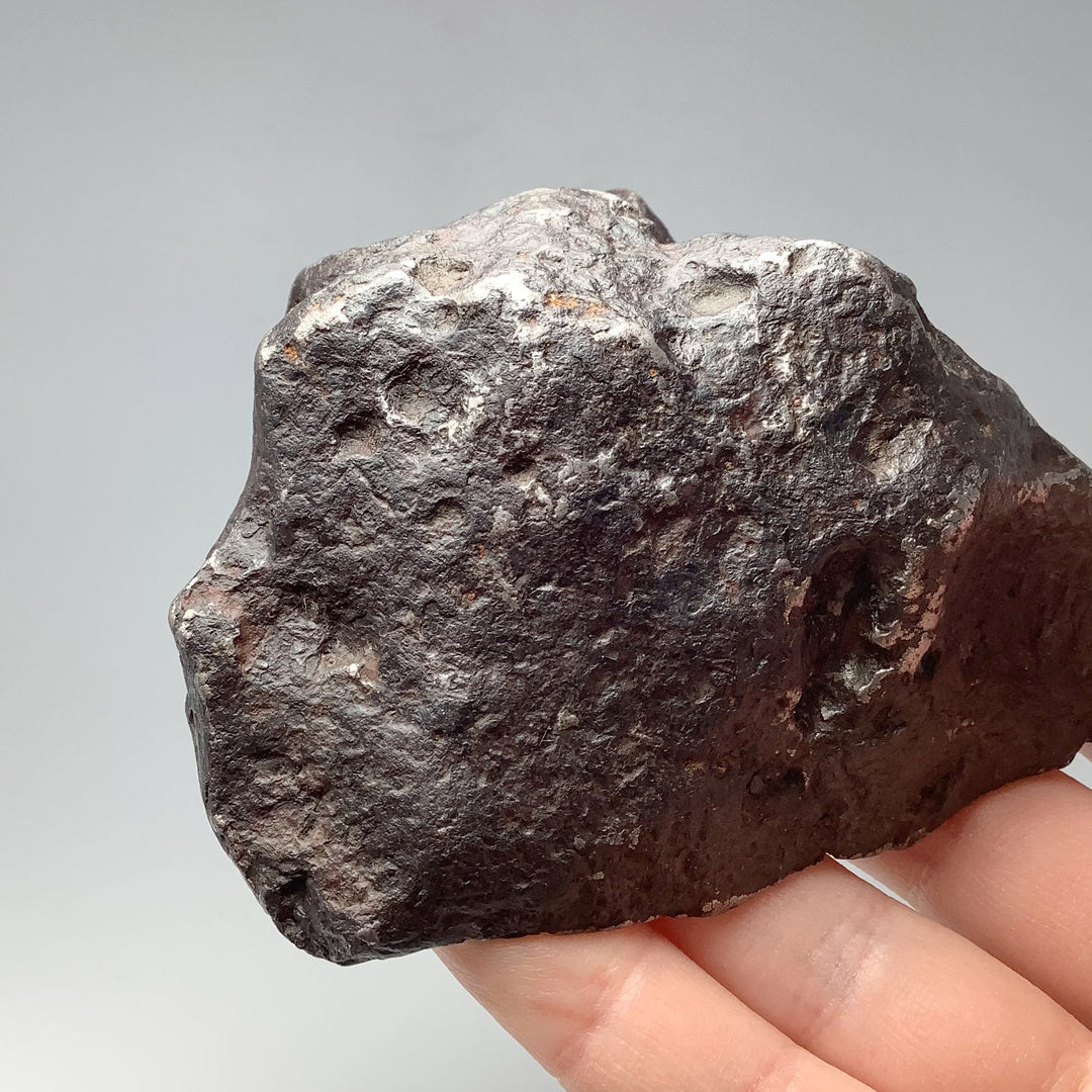 Campo Del Cielo Meteorite Large Specimen - Rocks and Gems Canada