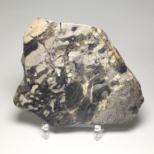 Silver Leaf Jasper Slice - Rocks and Gems Canada