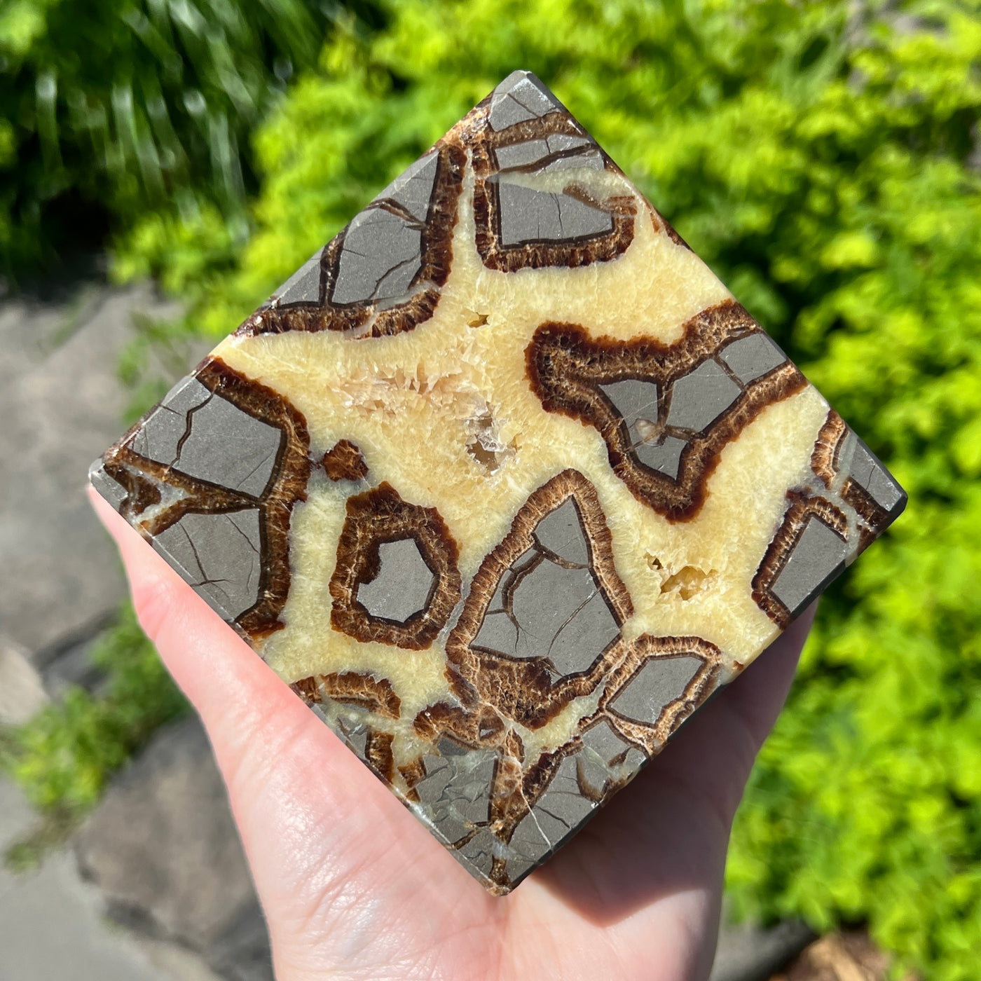 Septarian Large Cube Carving