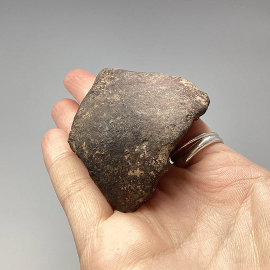 NWA Chondrite Meteorite Specimen - Rocks and Gems Canada