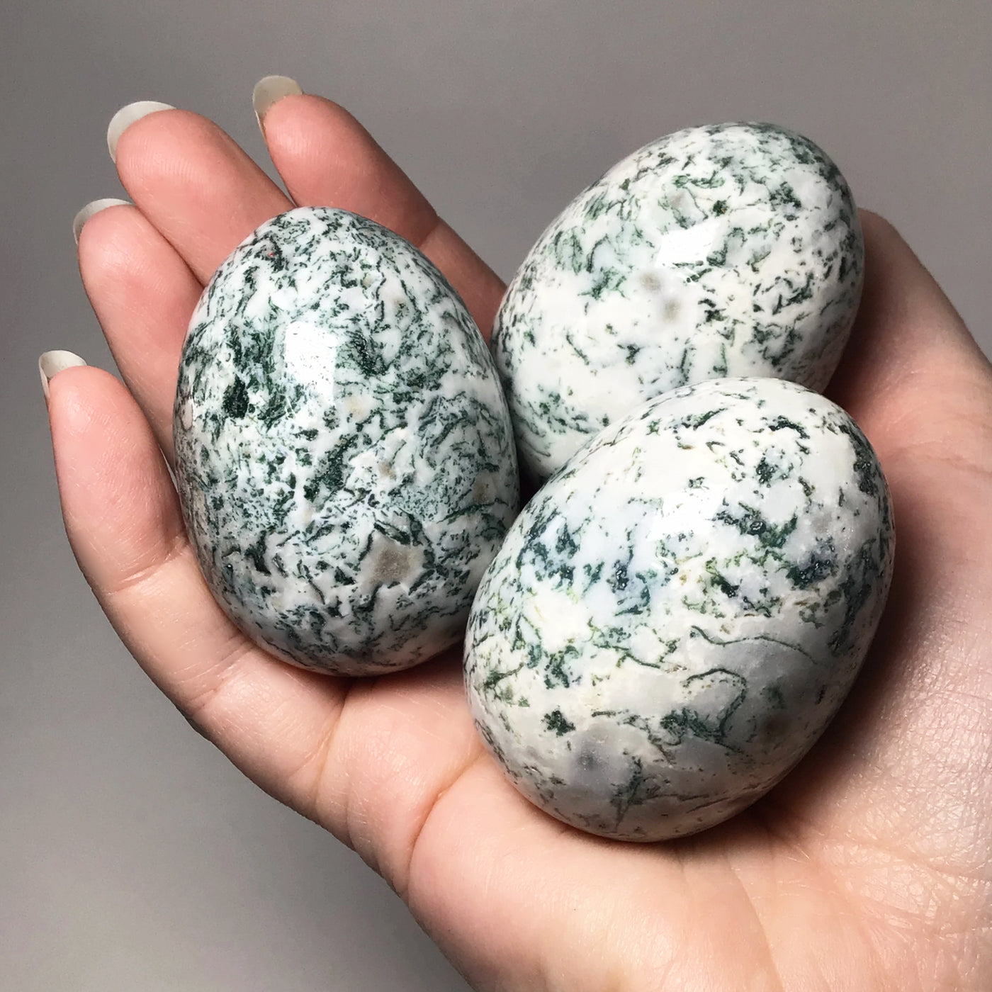 Tree Agate Egg