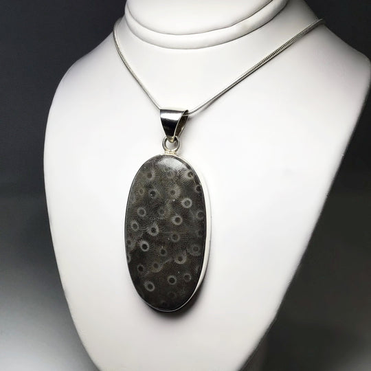 Fossilized Coral Pendant - Rocks and Gems Canada
