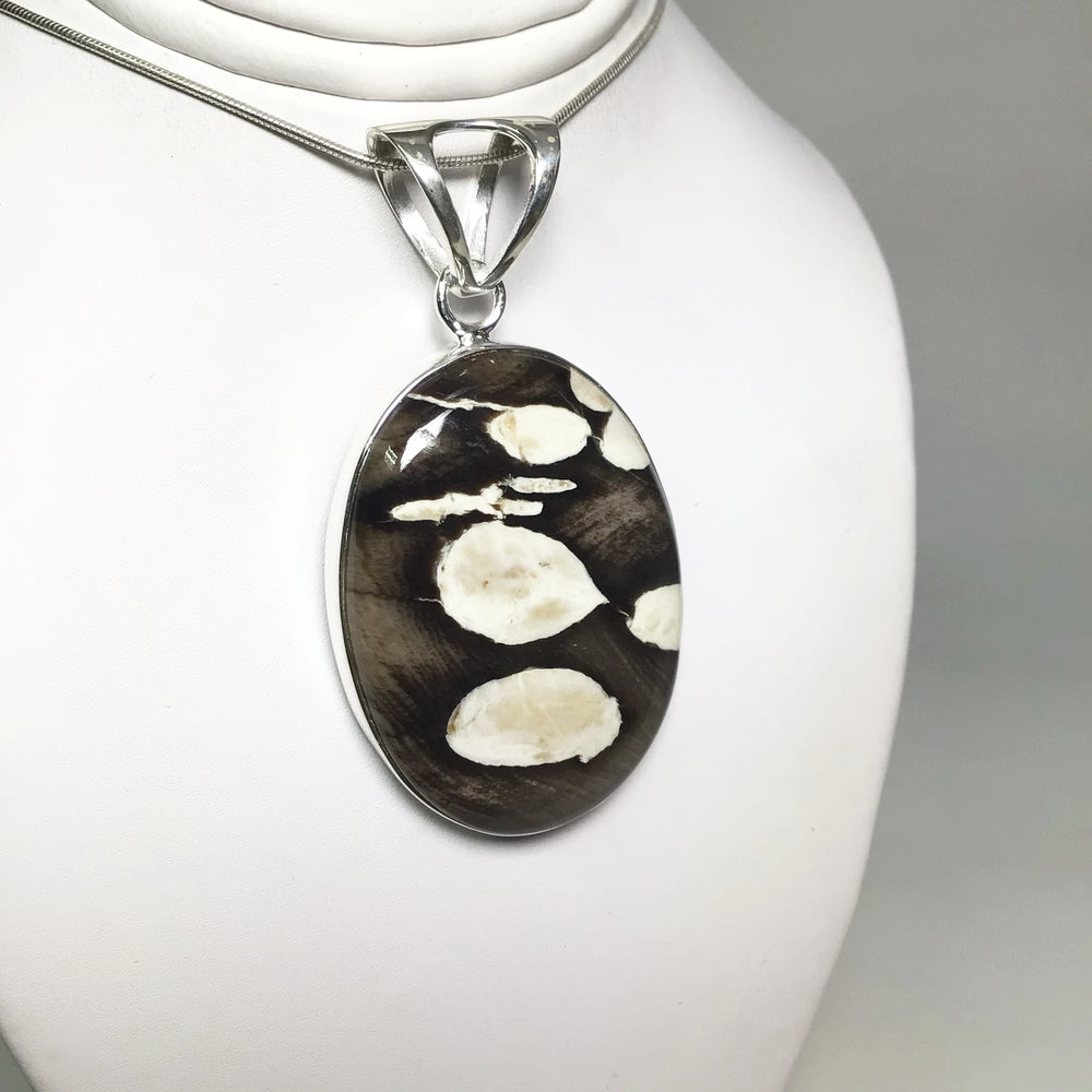 Petrified Peanut Wood Pendant - Rocks and Gems Canada