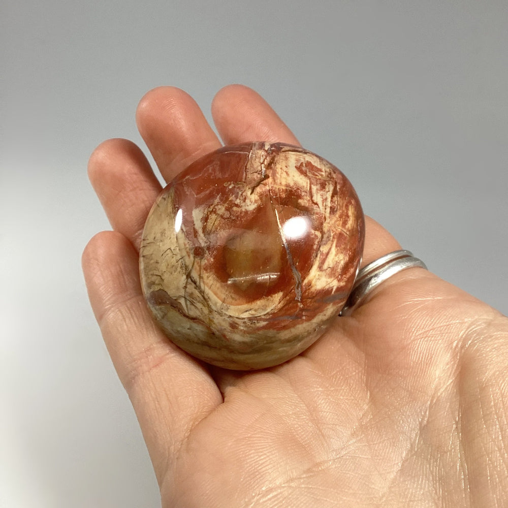 Petrified Wood Tumble - Rocks and Gems Canada