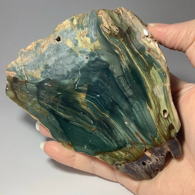 Gary Green Jasper Slab