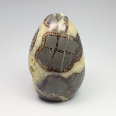 Septarian Egg Stand Up Piece