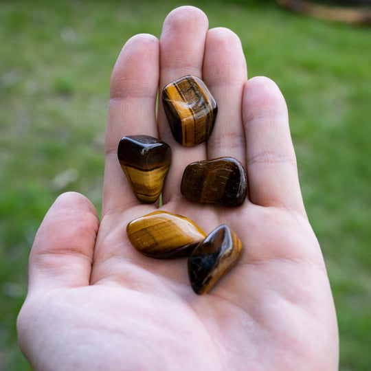 Tiger Eye Small Tumbles Pouch - Rocks and Gems Canada